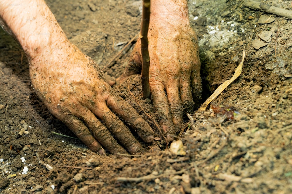 a person is digging in the dirt with their hands