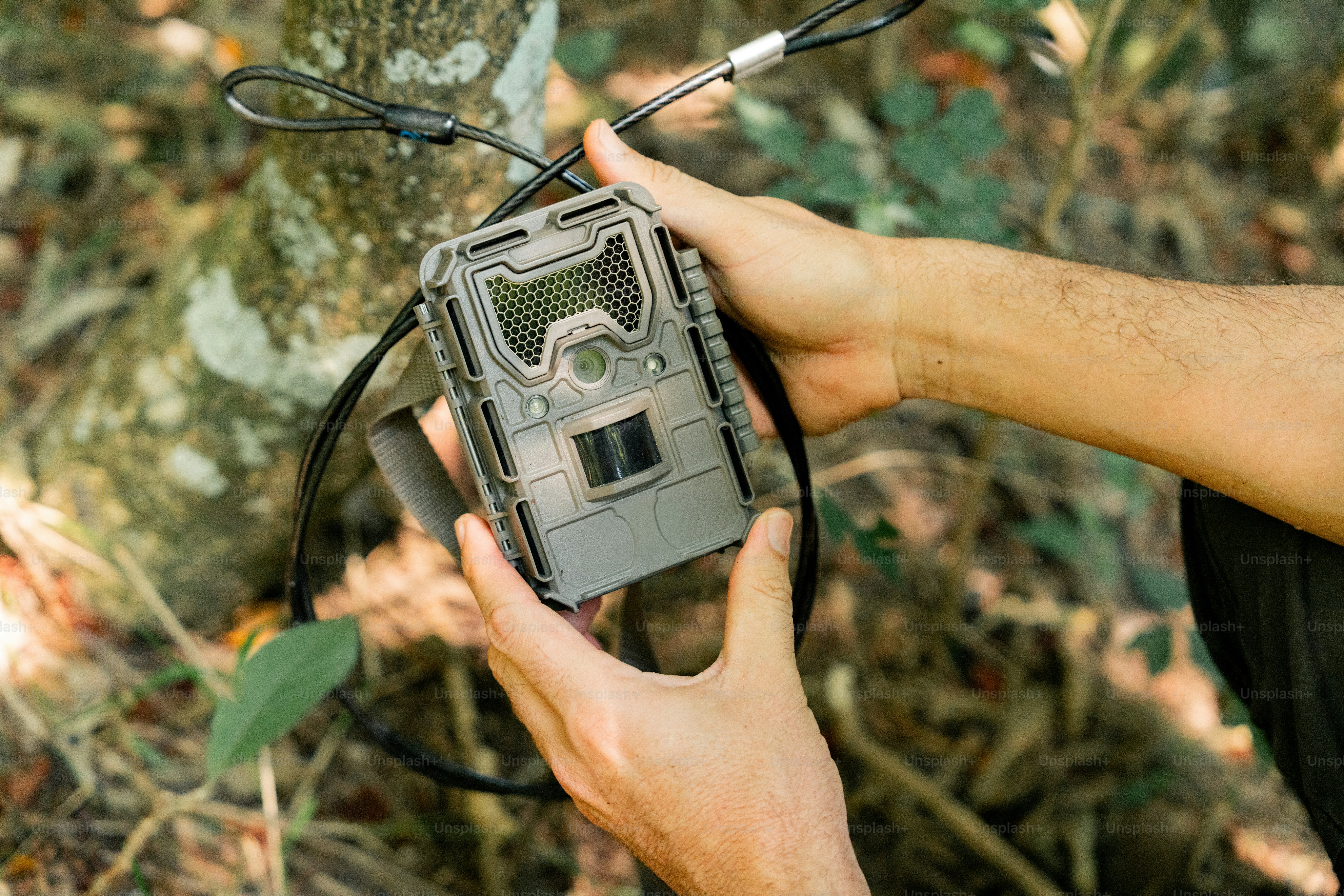 a person holding a camera in their hand