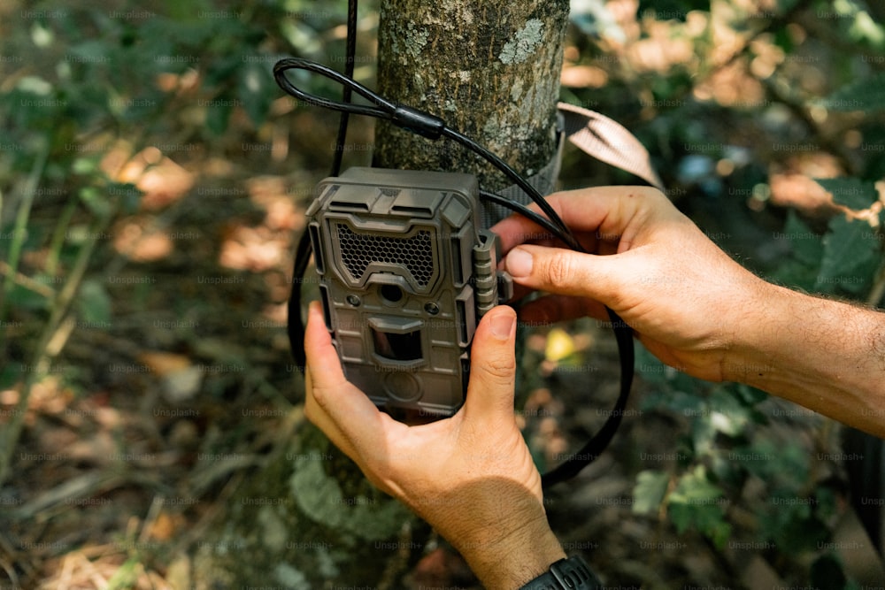 une personne tenant une radio à côté d’un arbre