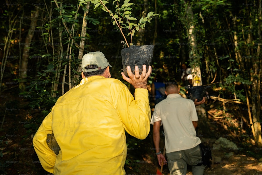 a group of people walking through a forest