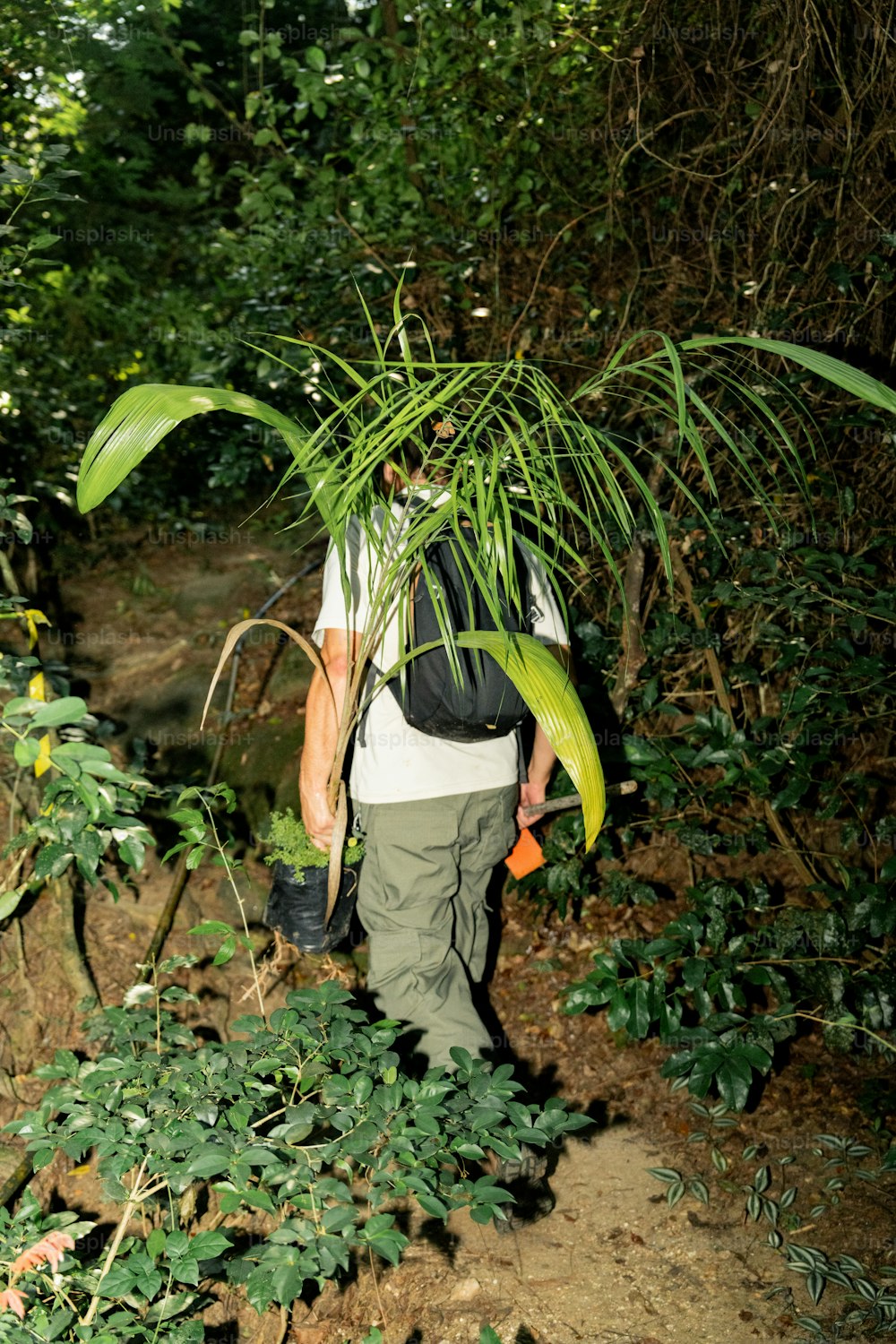 a man walking through a forest carrying a backpack