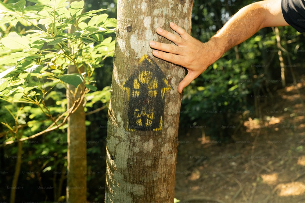 a hand on a tree with a picture on it