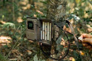 uma câmera acoplada a uma árvore na floresta