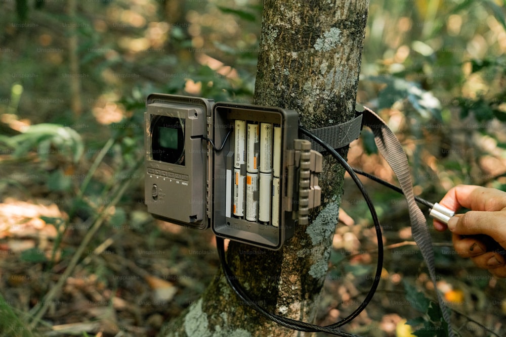 a camera attached to a tree in the woods