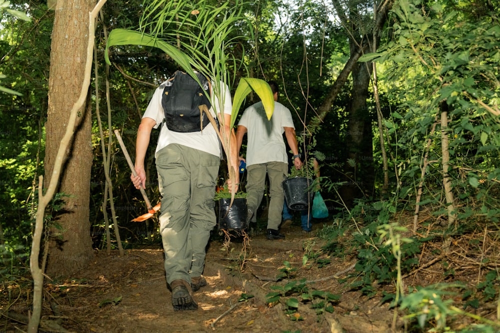 a group of people walking through a forest