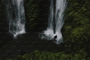 滝の真ん中に立つ男