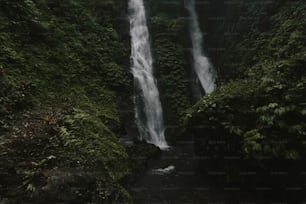 una grande cascata in mezzo a una foresta