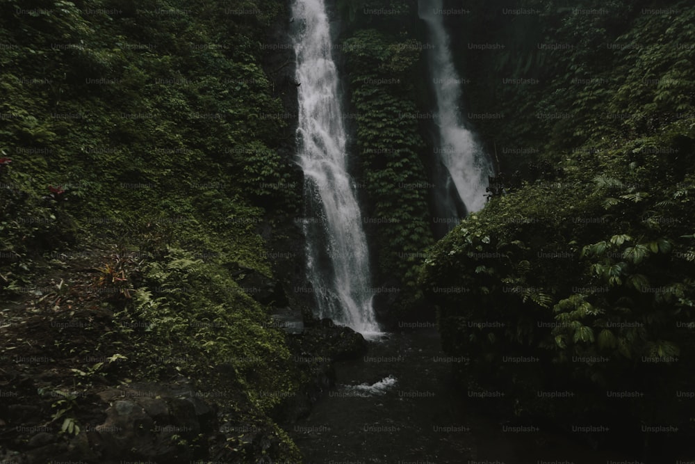 a large waterfall in the middle of a forest