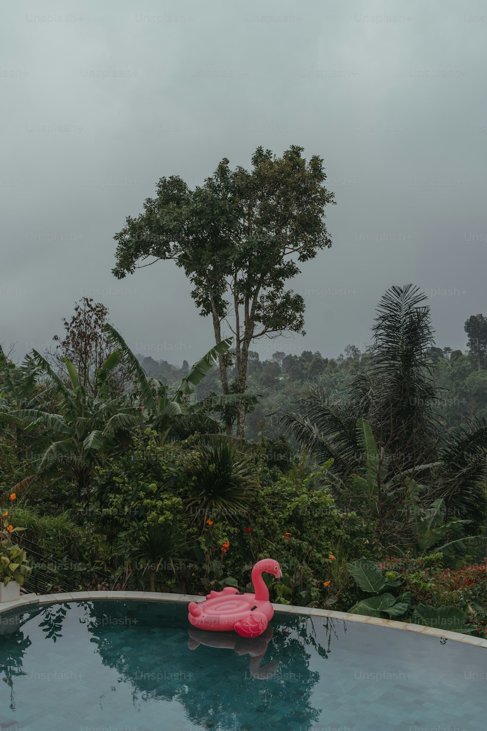 an inflatable flamingo floating in a pool surrounded by trees