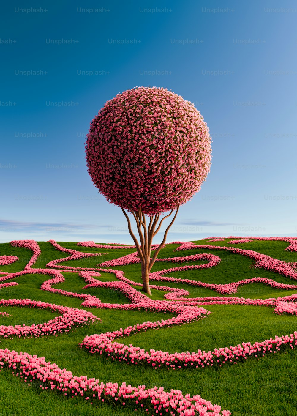 a tree in the middle of a field of flowers