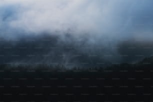 a plane flying over a forest under a cloudy sky