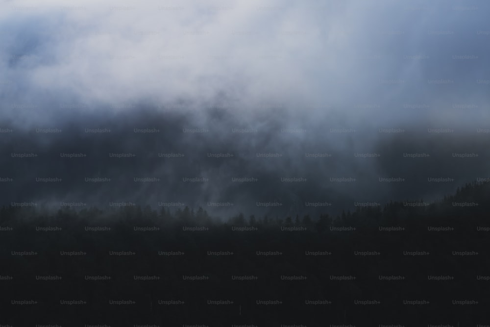 a plane flying over a forest under a cloudy sky