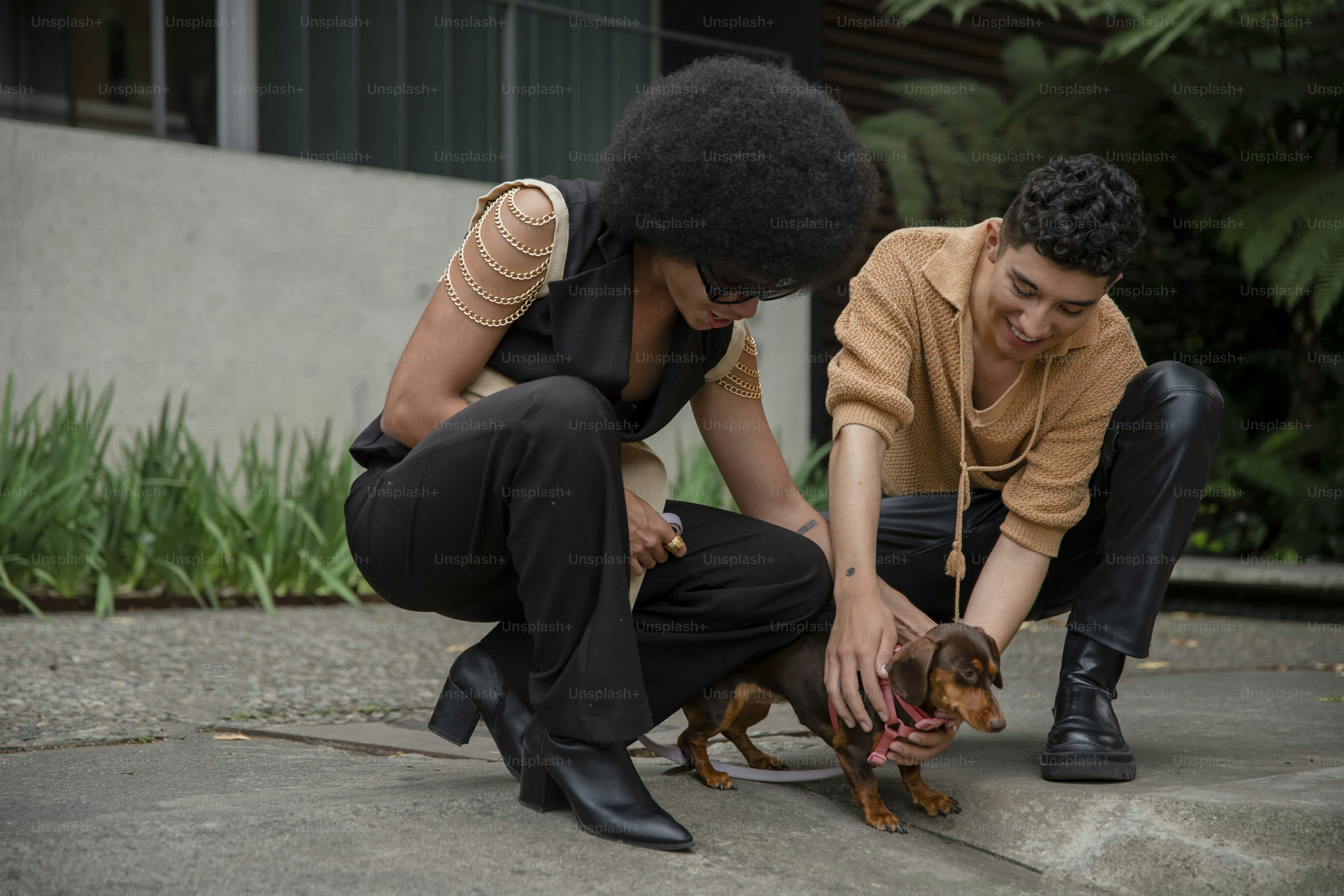 a woman and a man petting a small dog