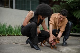 a woman and a man petting a small dog