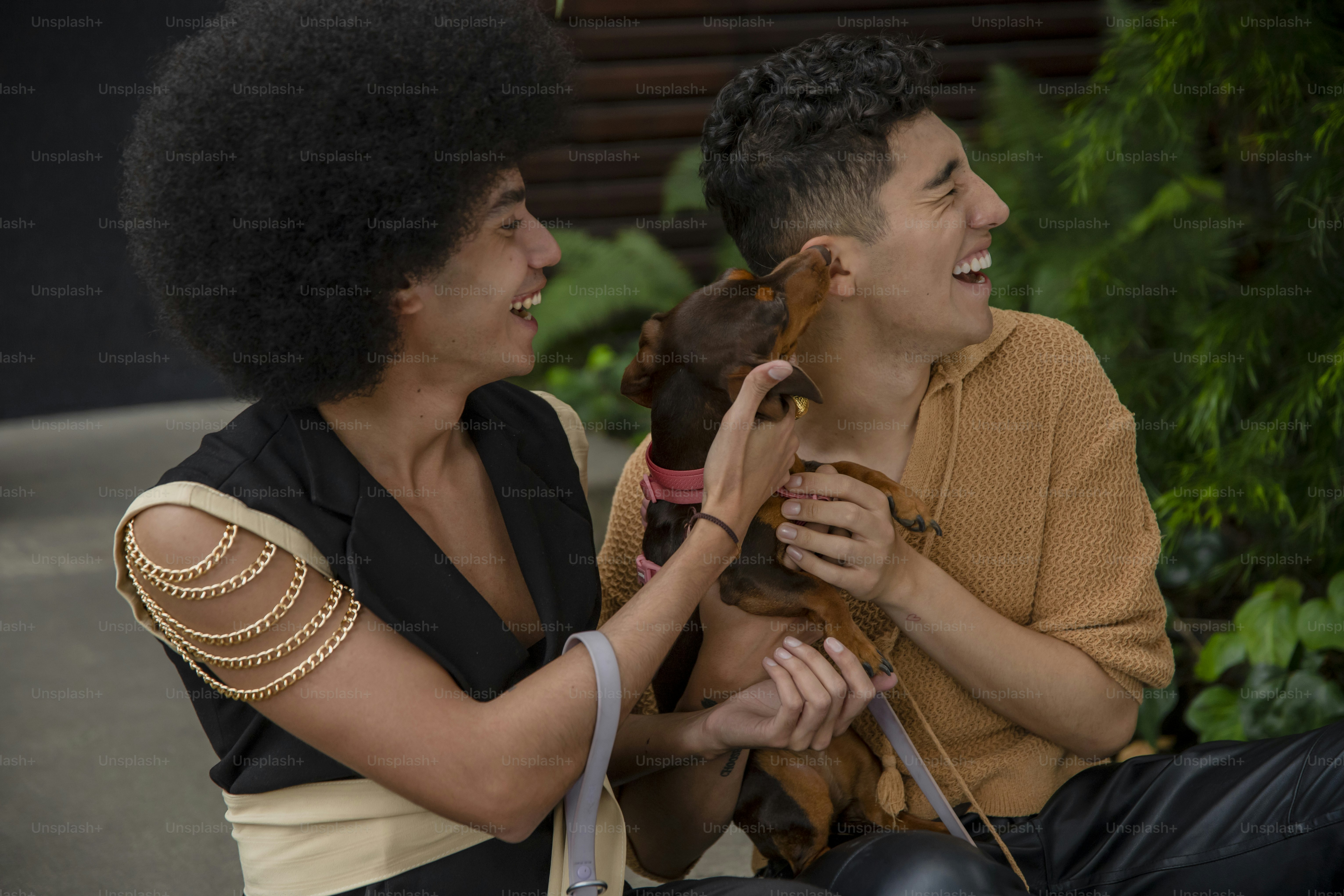a man and a woman sitting on a bench with a dog