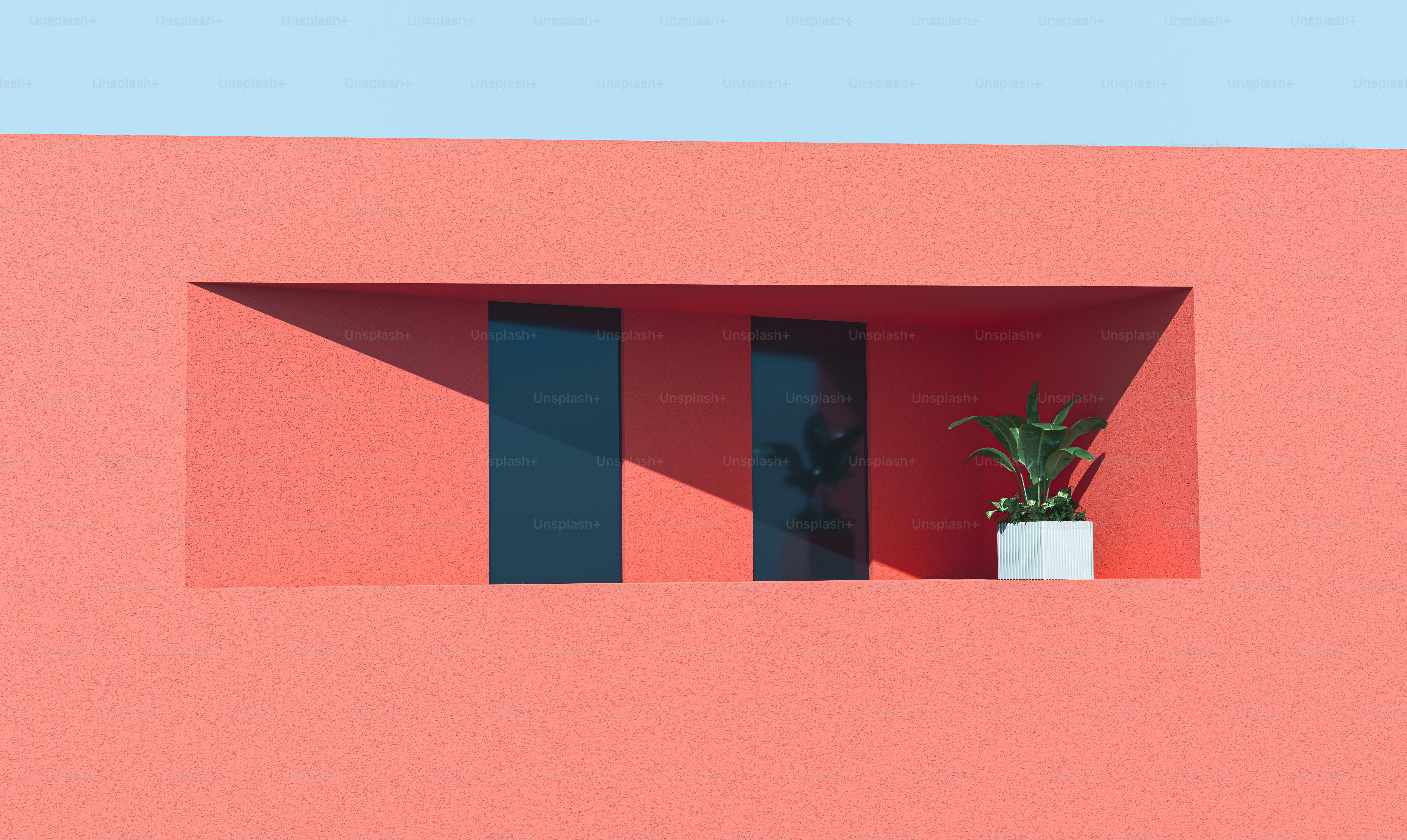 a potted plant sitting in a window sill