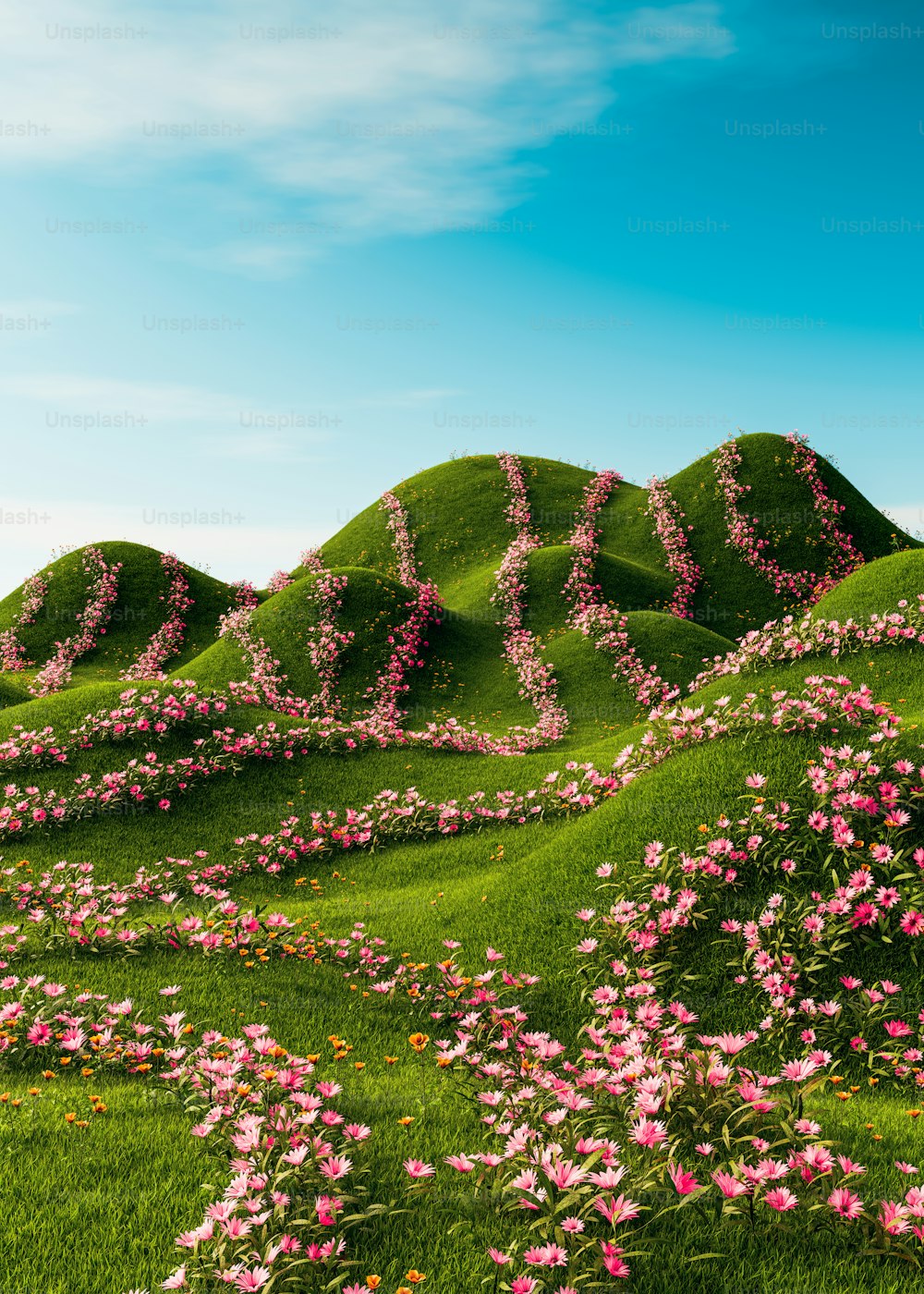 분홍색 꽃으로 뒤덮인 언덕, 풀밭에 사랑이라는 글자가 새겨져 있습니다