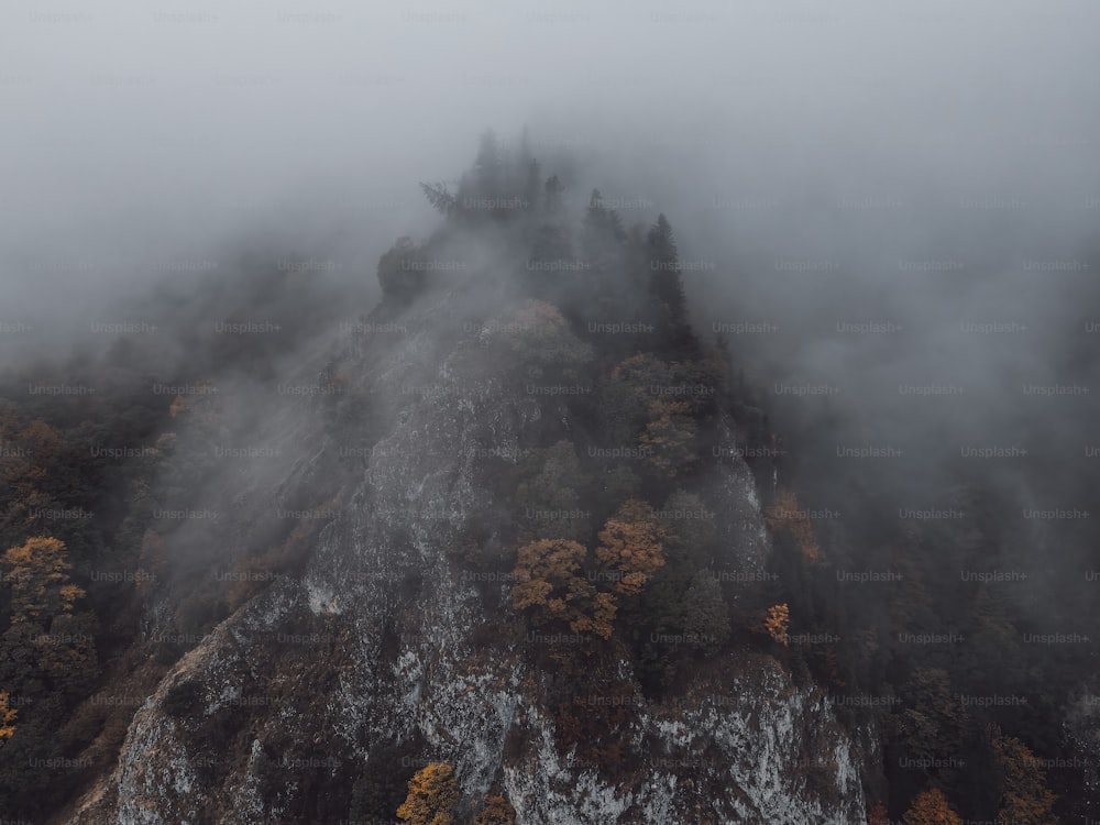 una montaña cubierta de niebla y árboles