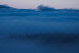 a foggy sky with trees in the foreground