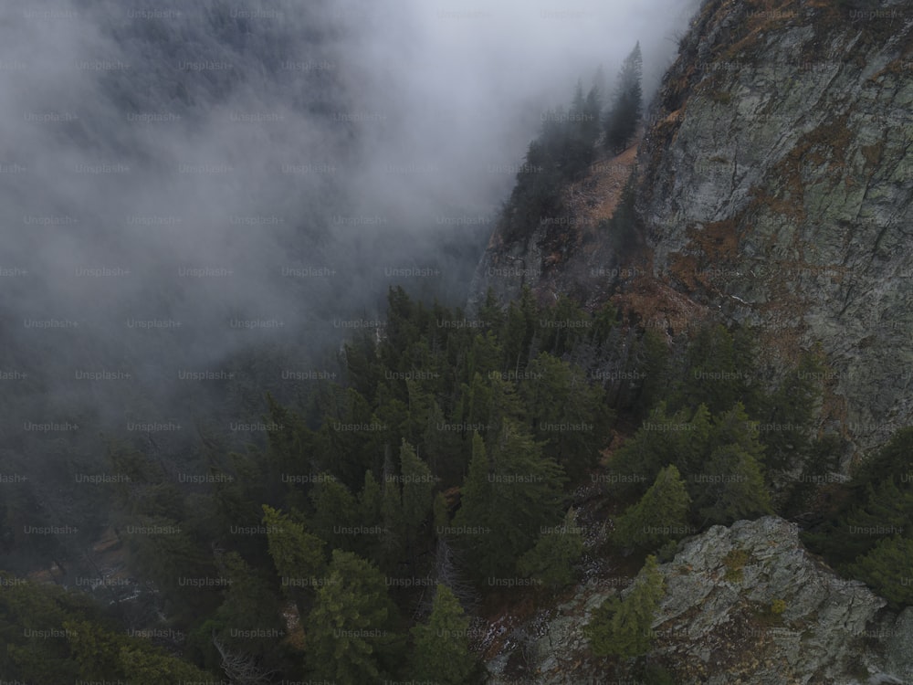 a view of the top of a mountain covered in fog