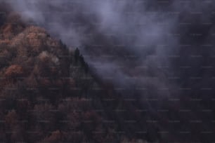 a mountain covered in fog with trees in the foreground