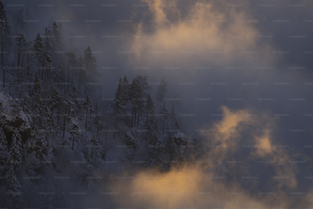 a mountain covered in fog and clouds with trees in the foreground