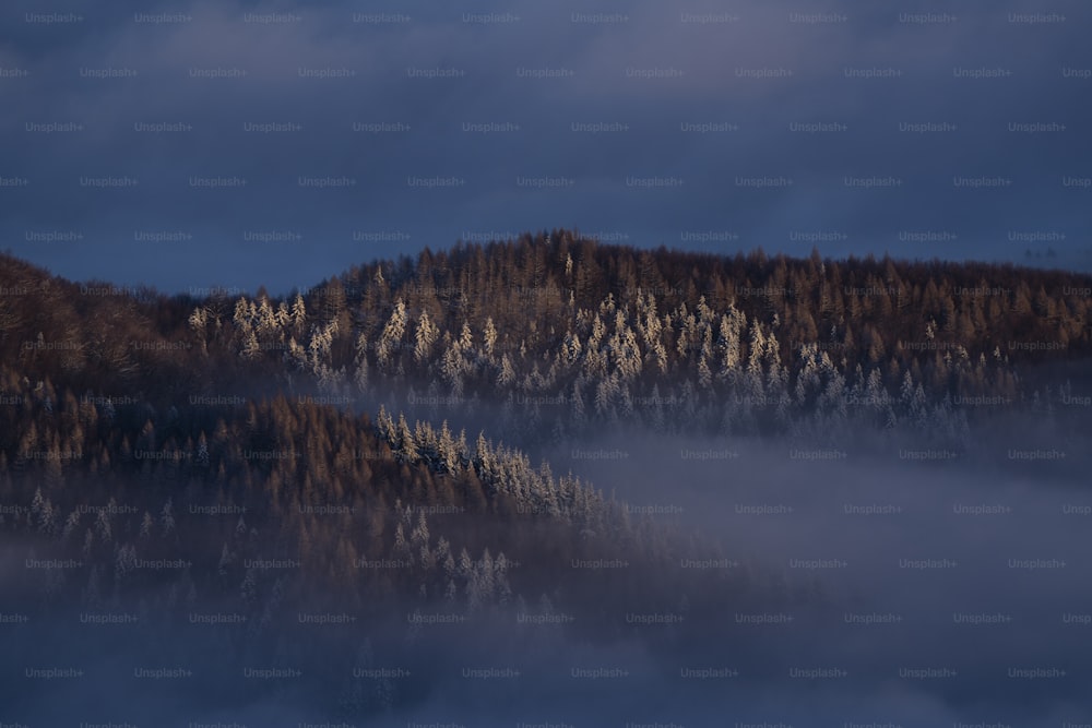 una montagna coperta di nebbia e alberi sotto un cielo nuvoloso