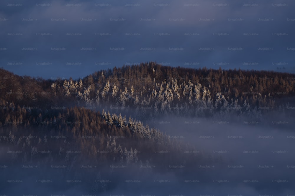 a mountain covered in fog and trees under a cloudy sky