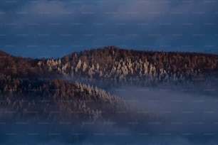 a mountain covered in fog and trees under a cloudy sky