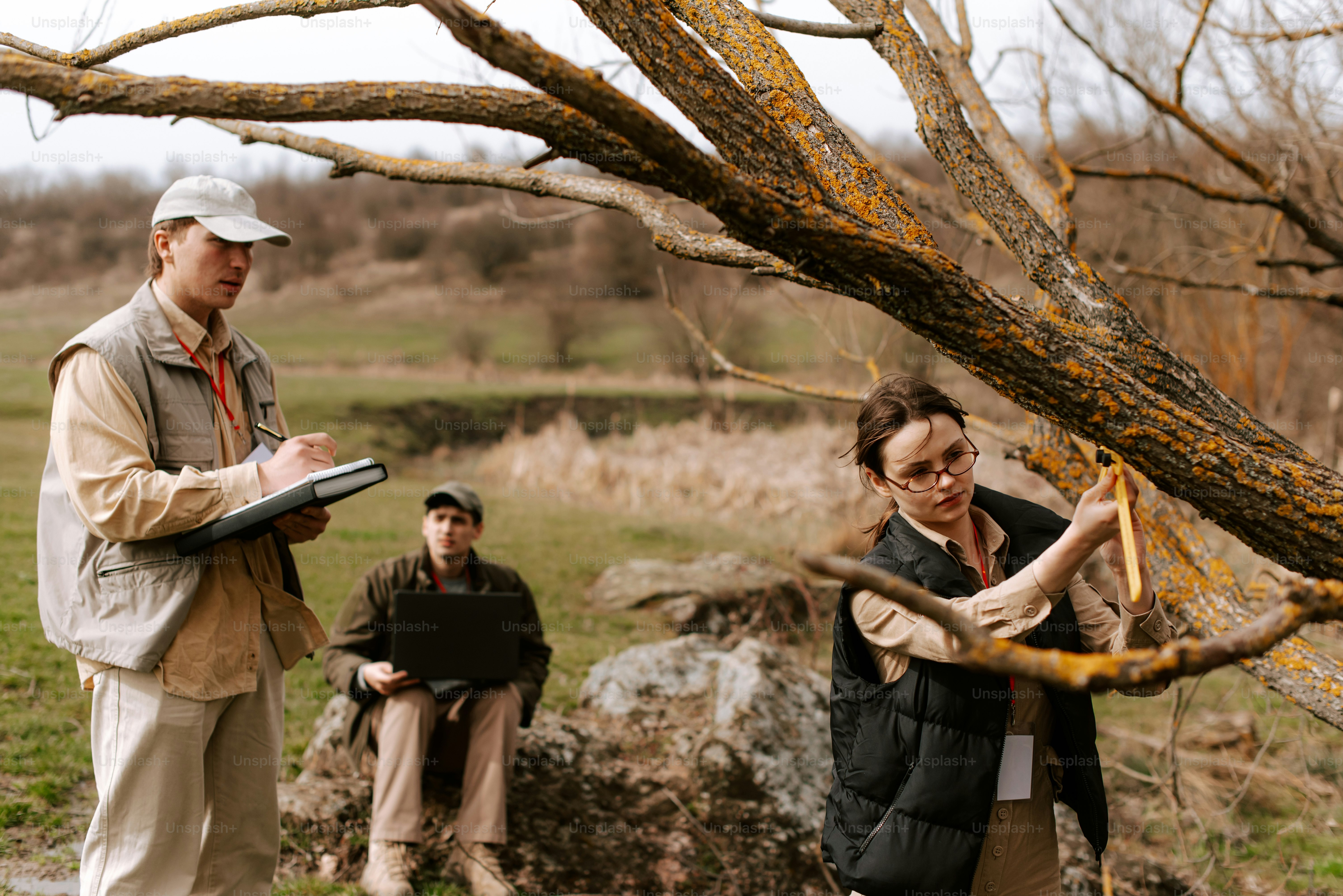 나무 주위에 서 있는 한 무리의 사람들
