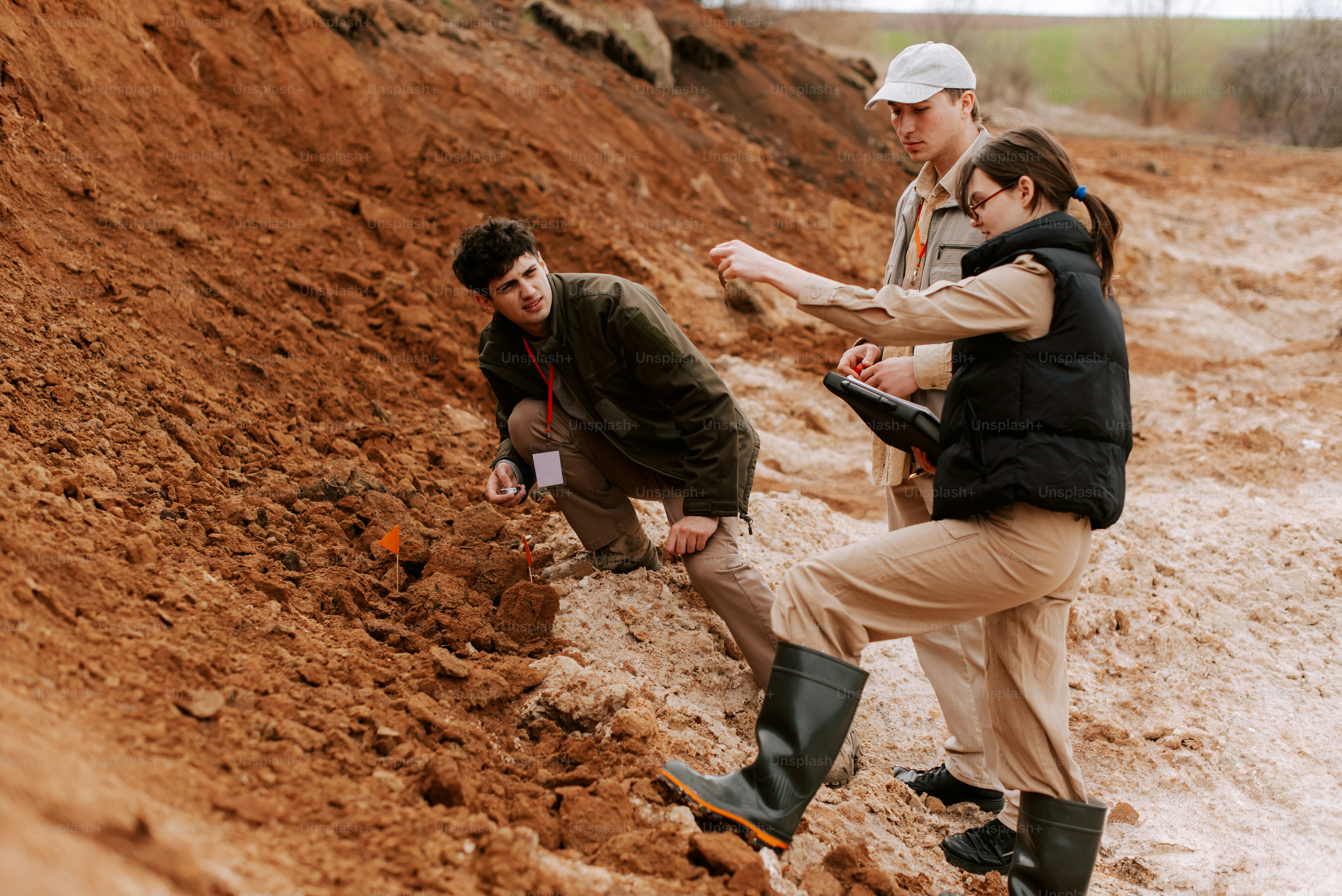 Research sample and collaboration