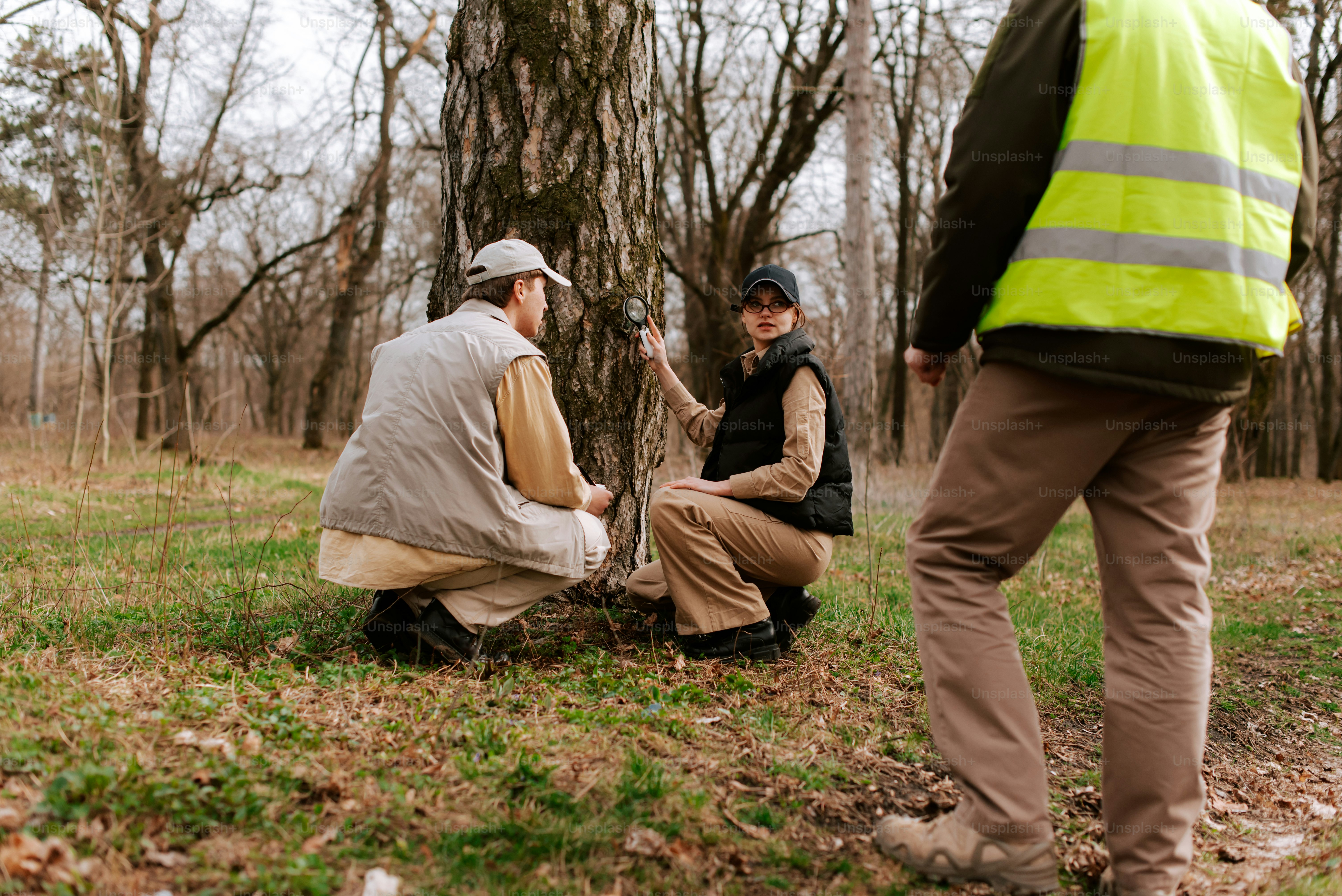 숲 속의 나무 주위에 앉아있는 한 무리의 사람들