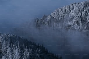 une montagne couverte de neige avec des arbres couverts de neige