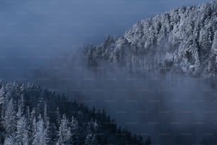 a mountain covered in snow with trees covered in snow