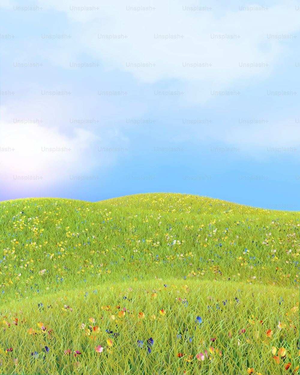 un campo d'erba con un cielo azzurro sullo sfondo