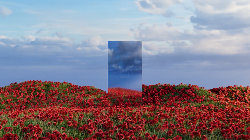 ein rotes Blumenfeld mit blauem Himmel im Hintergrund
