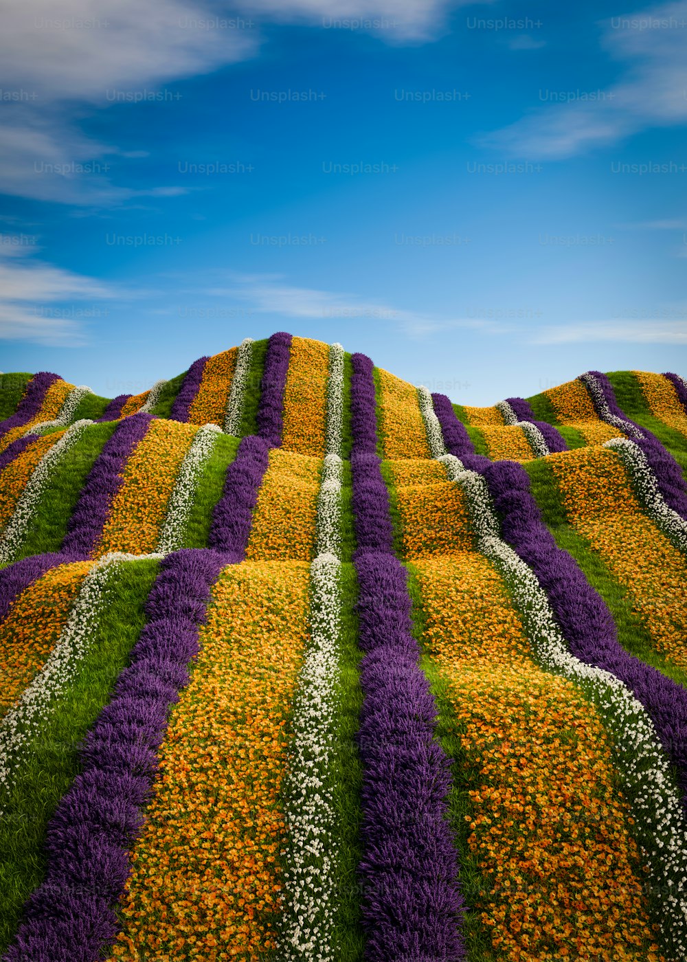 a field of flowers with a blue sky in the background