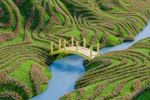 uma ponte sobre um rio cercado por um campo verde exuberante