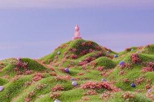 uma colina coberta de grama verde e flores cor-de-rosa