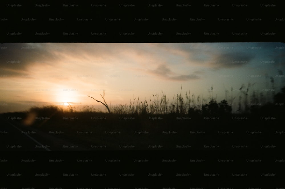 the sun is setting over a field of tall grass