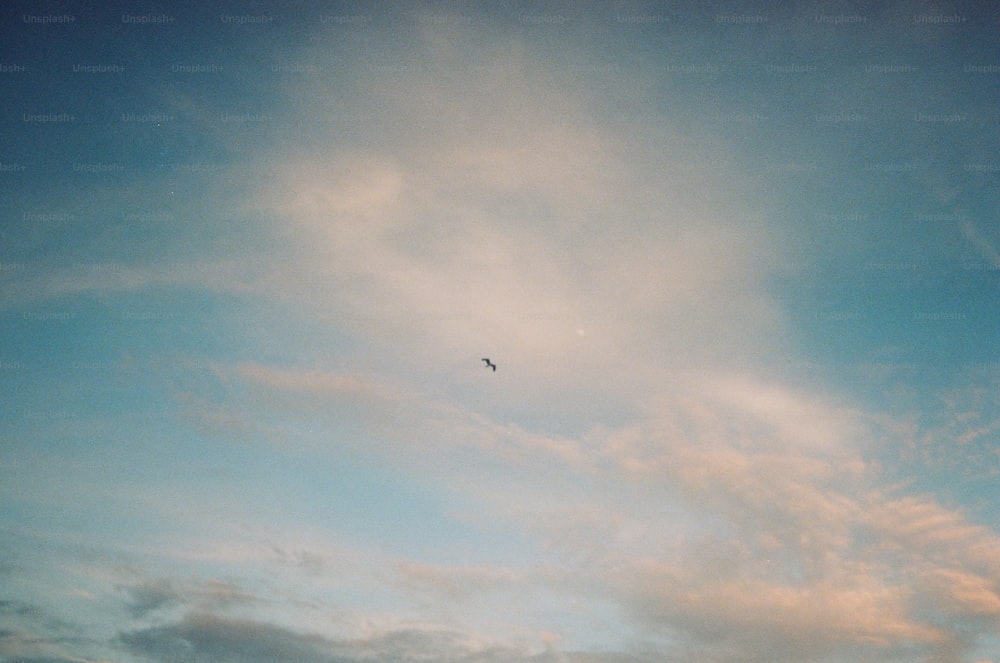 a bird flying high in the sky on a cloudy day