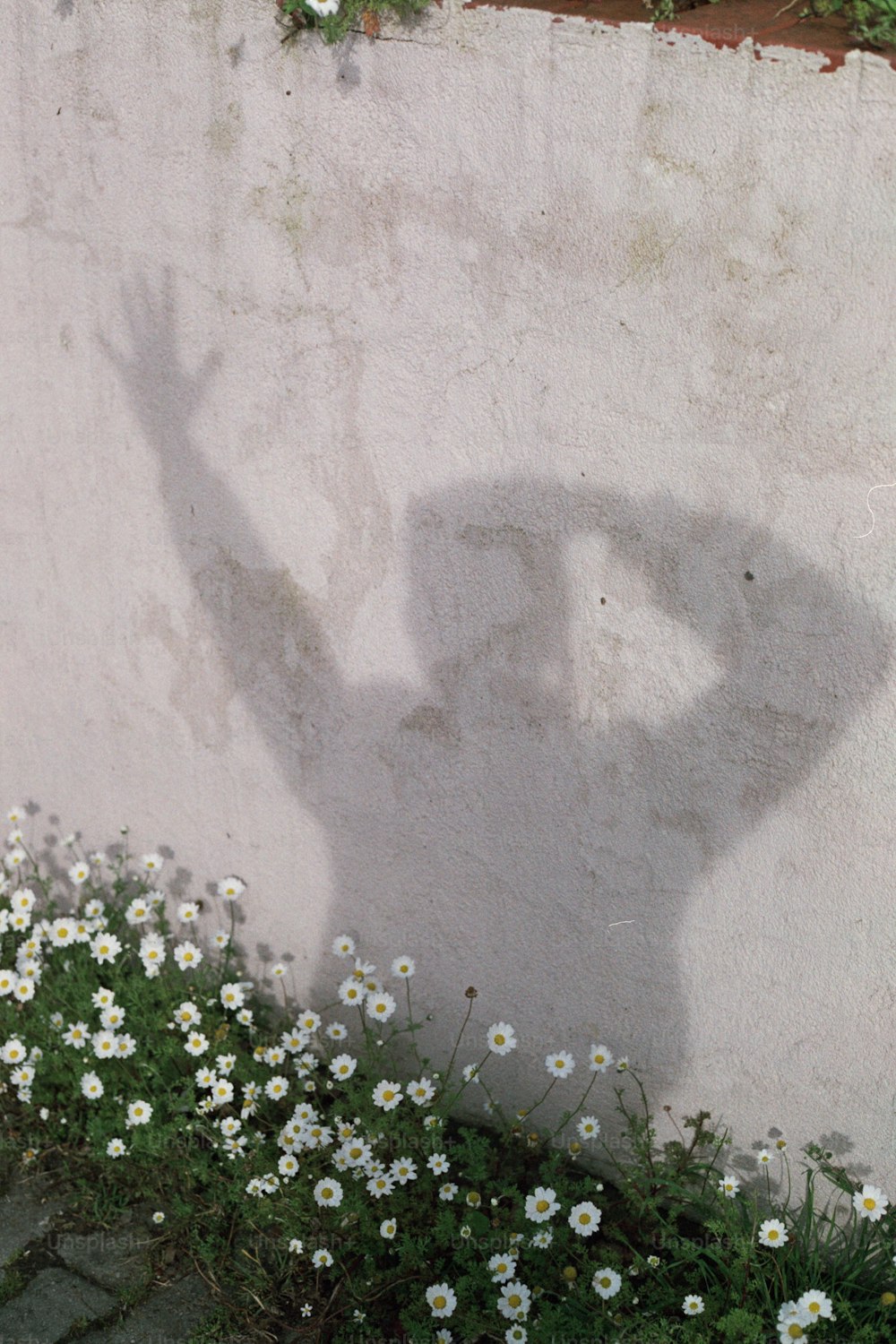 a shadow of a person holding a cell phone