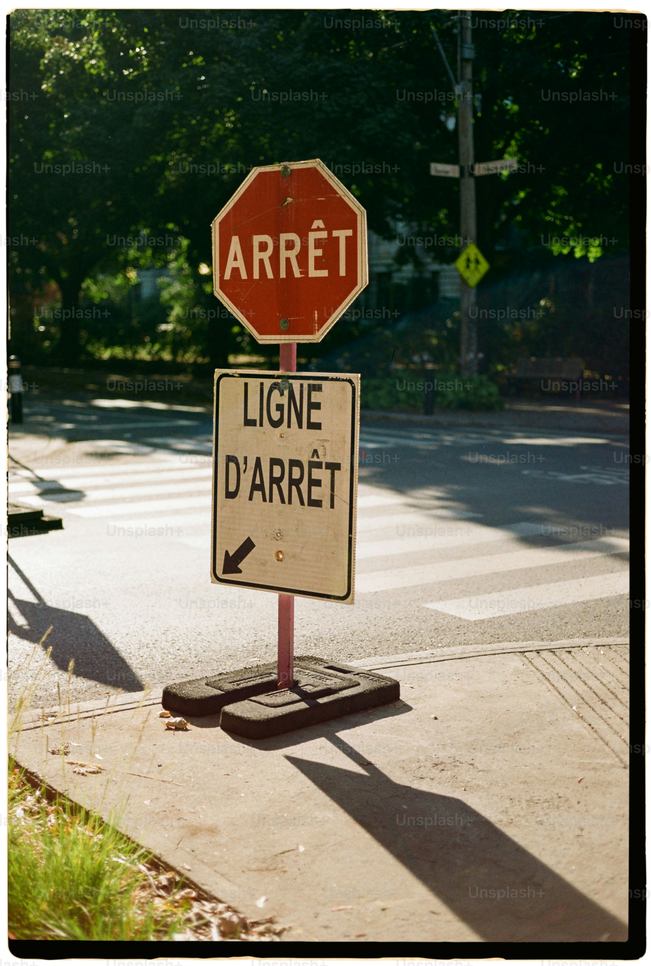 premium_photo-1711984441512-9b49caaaafd1?ixid=M3wxMjA3fDB8MXxzZWFyY2h8OXx8JTNBJTNBdWZhYmV0JTNBJTNBJTIwJUUwJUI4JTk3JUUwJUI4JUIyJUUwJUI4JTg3JUUwJUI5JTgwJUUwJUI4JTgyJUUwJUI5JTg5JUUwJUI4JUIyfGVufDB8fHx8MTc1MjIxNjAxNXww\u0026ixlib=rb-4.1.0