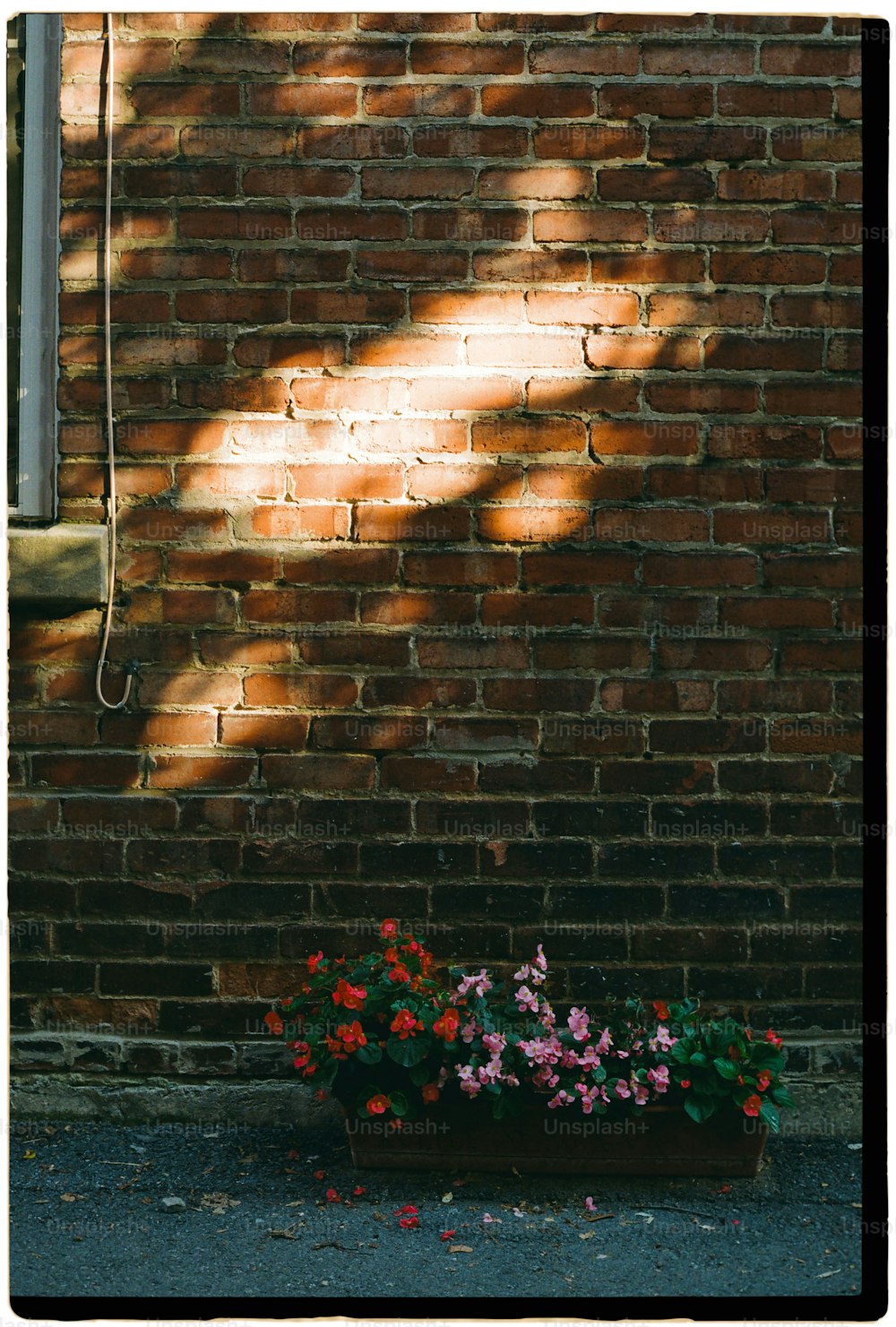 꽃으로 가득 찬 화분이 있는 벽돌 벽