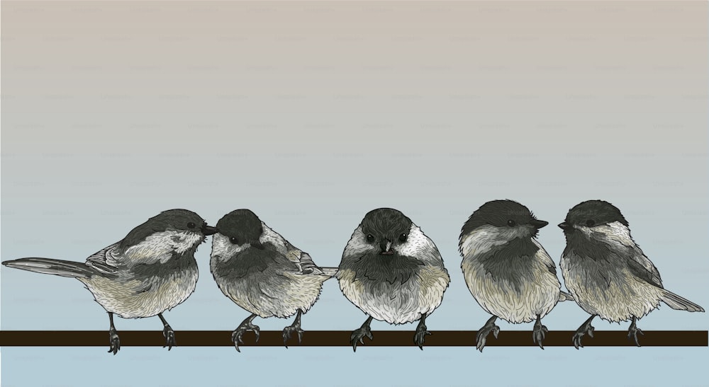 A bunch of black-capped chickadees sitting on a wire. Line artwork, individually grouped with global colours.