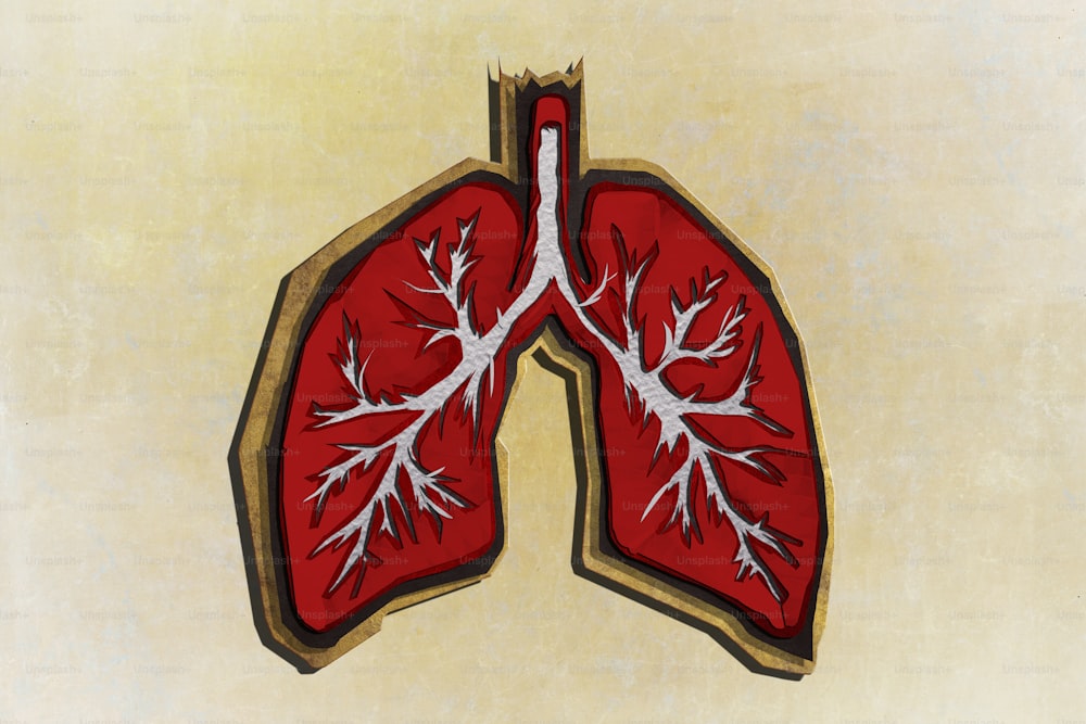 Illustrazione dei polmoni di carta di texture
