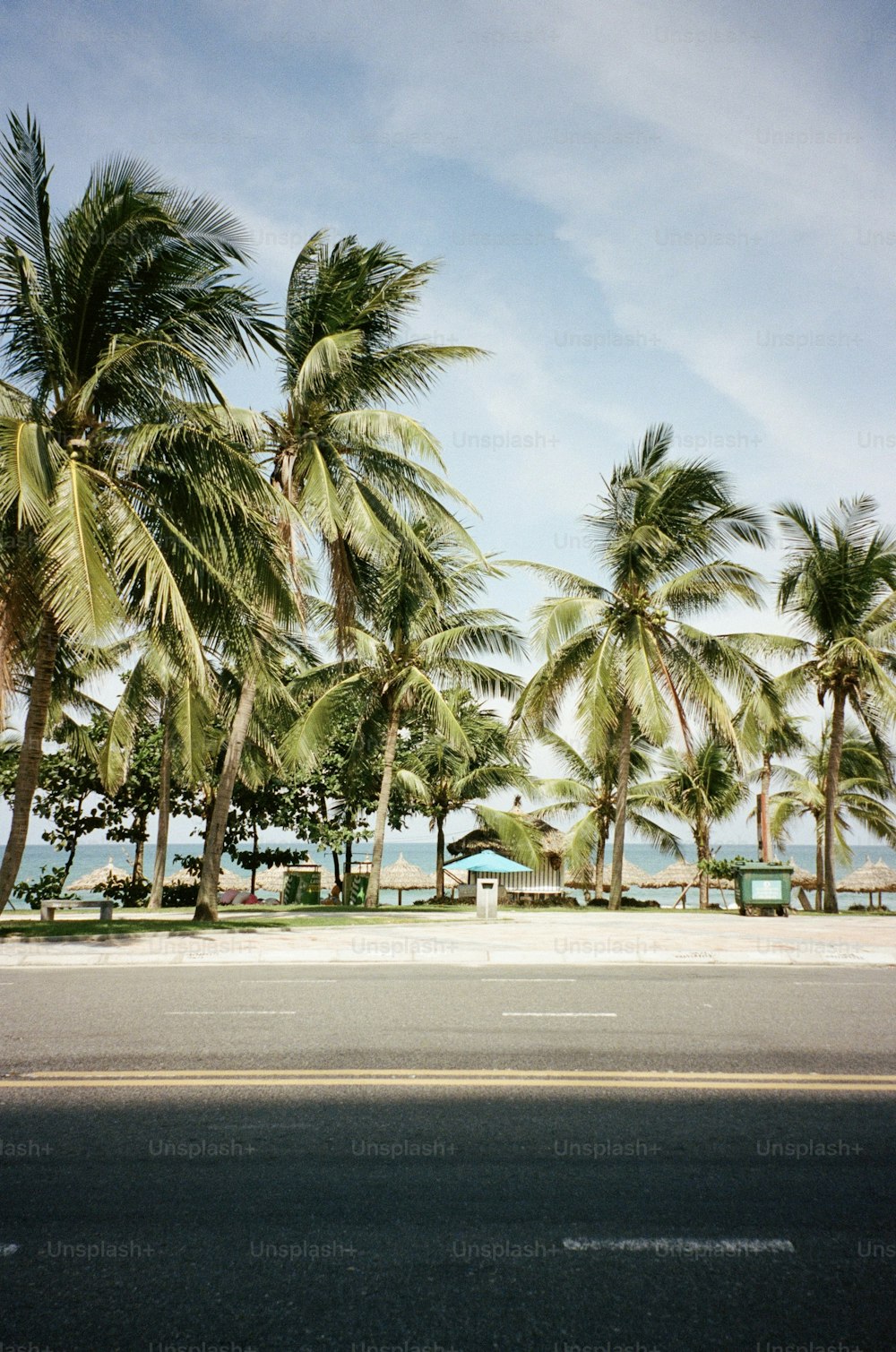 a row of palm trees on the side of a road
