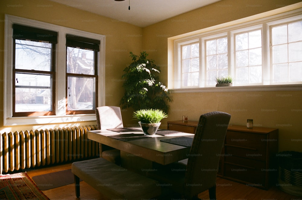 a dining room table with a plant in a pot