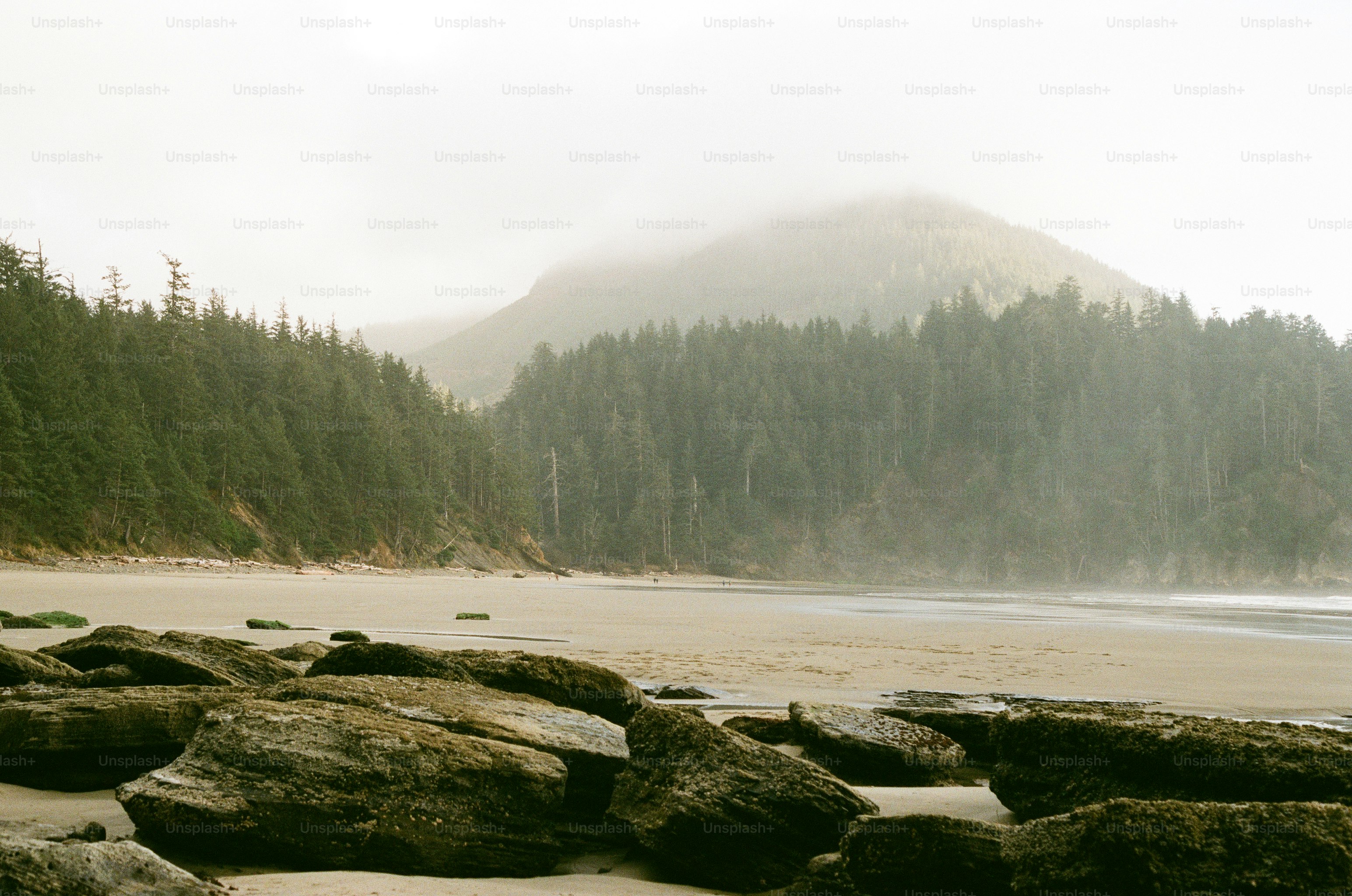 a rocky beach with a mountain in the background