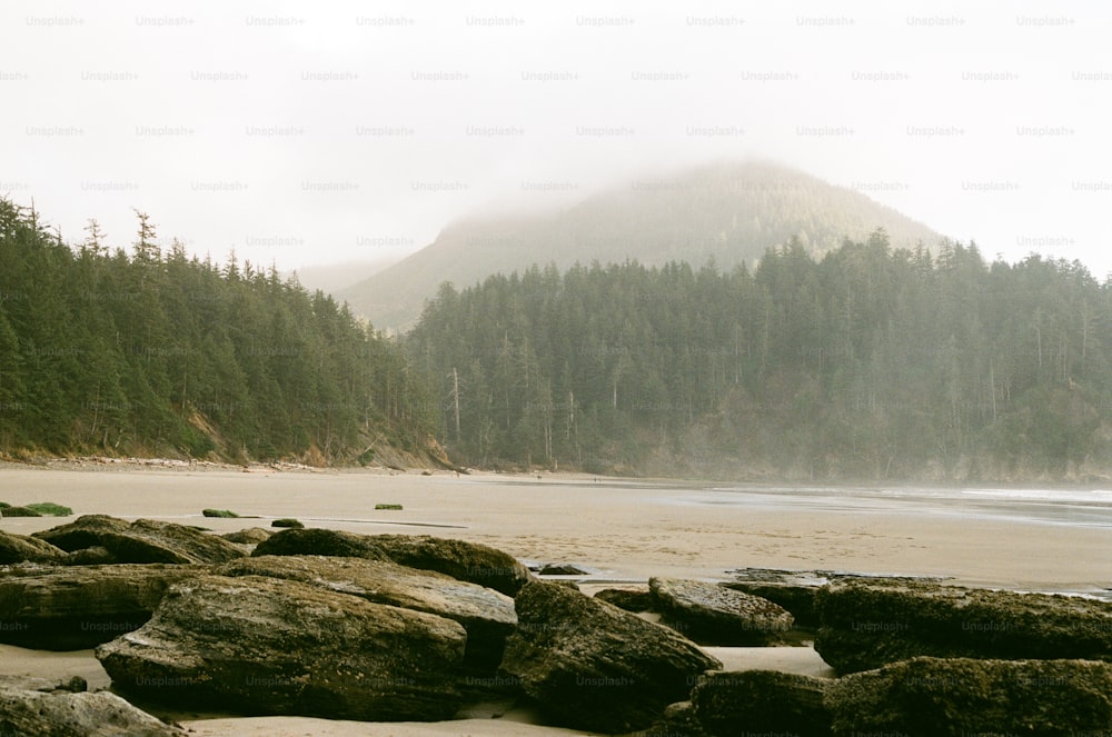 uma praia rochosa com uma montanha ao fundo